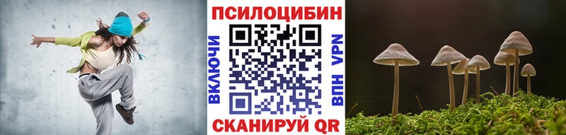 Псилоцибиновые грибы Psilocybe  ОМГ ОМГ сайт  Собинка 